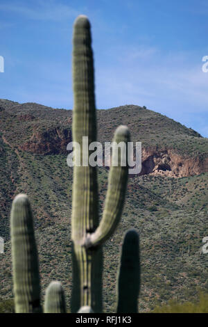 Tonto National Monument enthält der Ruinen von zwei Cliff dwellings durch den Salado Indianer gegründet um 1300 AD. Stockfoto