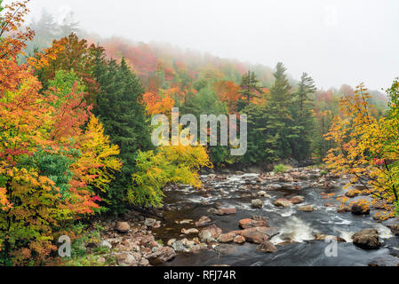 West Branch Ausable River an einem regnerischen Tag im Herbst, Essex Co., Adirondack Mountains, NY Stockfoto