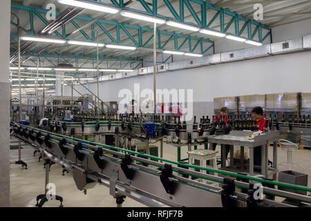 Region Krasnodar, Russland - 18. AUGUST 2013: Abrau-Durso Weingut Interieur in Russland Stockfoto