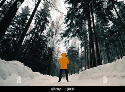 Ansicht von Hinten Nahaufnahme der Person tragen gelbe Jacke und Hut, Wandern in den schönen Winter voller Bäume allein, Boden durch zu viel Schnee bedeckt, er Stockfoto