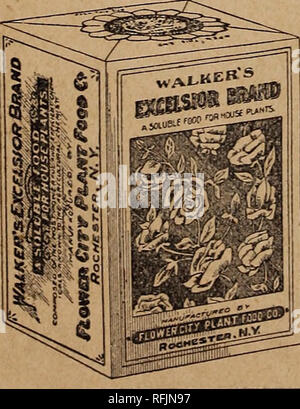 . Garten, Hof und Geflügel jährliche: 1900. Baumschulen Missouri Kataloge; Blumen Samen Samen Kataloge Kataloge; Gemüse; Geflügel Ausrüstungen und Zubehör Kataloge; Gartengeräte und Zubehör Kataloge. Düngemittel,. ll^kes Blumen Jlourisft. Blumen sind wie Menschen. Ihre Gesundheit, hängt von ihrer Nahrung. Es ist nahrhaft sein, aber nicht zu reich Wachstum und Ursache Reaktion zu zwingen. Die chemisch korrekte flowerf ood für Zimmerpflanzen ist Walker's Excelsior Prahlen. Es hat keinen Geruch, was auch immer, und können trocken oder aufgelöst in Wasser lor Besprengung verwendet werden. Verwenden Sie es und Ihre Blumen blühen und t Stockfoto