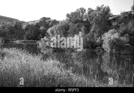 AZ - PENA BLANCA SEE, westlich von Nogales, SCC (3) (10462809645). Stockfoto