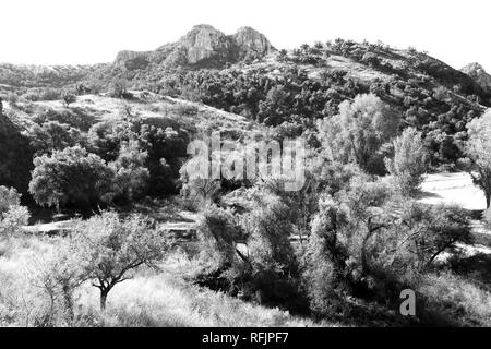 AZ - PENA BLANCA SEE, westlich von Nogales, SCC (5) (10462676784). Stockfoto