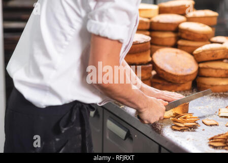 Konditor Schneiden der Biskuit auf lagen. Kuchen in der Produktion. Stockfoto