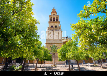 Berühmten Glockenturm La Mezquita Cathedral und Innenhof in Cordoba, Andalusien, Spanien Stockfoto