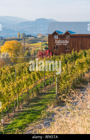 Schönen nachmittag Blick auf Hügel Weingut und Bistro von Kettle Valley Rail Trail im Herbst in der Nähe von Penticton, British Columbia, Kanada Stockfoto