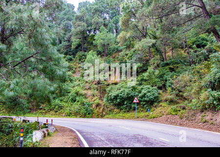 Landschaftlich reizvolle Straße durch das Tal von banikhet Dalhousie Himachal Pradesh mit Berg- und Bäumen bewachsen. Bergauf Scenic Road Travel Concept Stockfoto