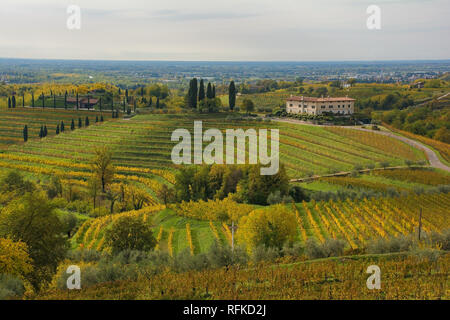 Im Herbst Landschaft im Collio Rebfläche von Friuli Venezia Giulia, North West Italien. In der Nähe der Abbazia di Rosazzo die Abtei genommen Stockfoto