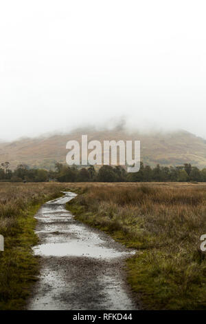 Wanderweg auf dem Weg zu einem Berg im Nebel während eines regnerischen Herbst Tag mit Regen Pfützen in der Nähe von kilchurn Castle (Schottland, Vereinigtes Königreich, Europa) Stockfoto