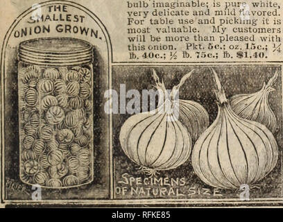 . Mills' samen Katalog: 1900. Baumschulen (Gartenbau) New York (State) Kataloge; Gemüse Samen Kataloge; Pflanzen, Zierpflanzen, Blumen Kataloge Kataloge. Denken Sie daran, dass Mühlen Zwiebel Samen von Hand sortiert aud ae* gewachsen ist durchsuchenfunkti Glühbirnen. Bitte beachten Sie, dass diese Bilder sind von der gescannten Seite Bilder, die digital für die Lesbarkeit verbessert haben mögen - Färbung und Aussehen dieser Abbildungen können nicht perfekt dem Original ähneln. extrahiert. F.B. Mühlen (Hart); Mühlen, F. B; Henry G. Gilbert Baumschule und Saatgut Handel Katalog Kollektion. Rose Hill, N.Y.: F.B. Mühlen Stockfoto