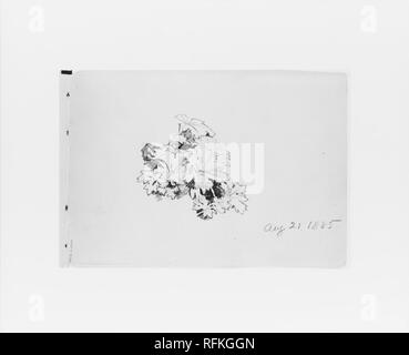 21.August 1885 - Natur Studie (von Skizzenbuch X) MET 257705. Stockfoto
