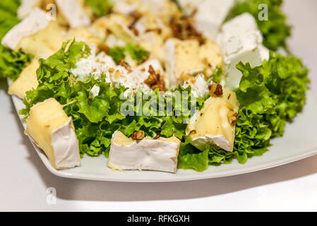 Käseplatte mit verschiedenen Arten von Käse auf dem Tisch im Restaurant serviert. Flache konzentrieren. Stockfoto