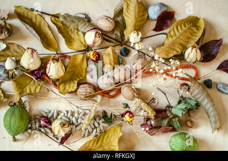 Sanfte Herbst Hintergrund der vergilbten Blätter mit Koralle Perlen, Nüsse, getrocknete Rosenknospen und Steine verteilen sich auf Licht sperrholz Stockfoto