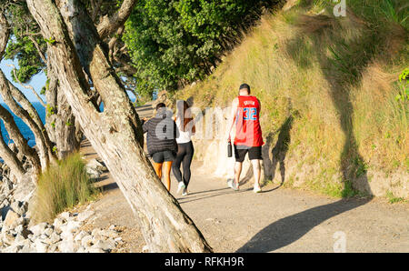 TAURANGA, NEUSEELAND - 24. Januar 2019; die Leute gehen Mount Maunganui base Track im goldenen Abendlicht Track durch pohutikawa Bäumen eingerahmt. Stockfoto