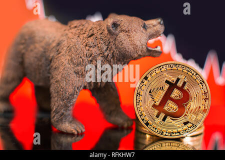 Bitcoin mit einer roten Karte. Preis Crash und Bear Market Trend Konzept. Stockfoto