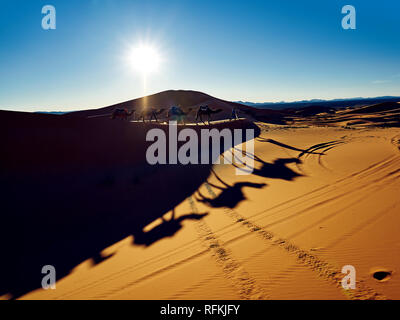 Kamelkarawane und Schatten in der Wüste Erg Chebbi, in der Nähe der Stadt Merzouga, Wüste Sahara, Marokko Stockfoto