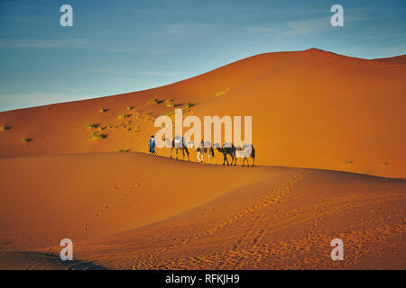 Kamelkarawane unter der Sonne. Das Foto der Wüstenlandschaft wurde in Erg Chebbi in der Nähe der Stadt Merzouga, Sahara Desert, Marokko aufgenommen. Stockfoto