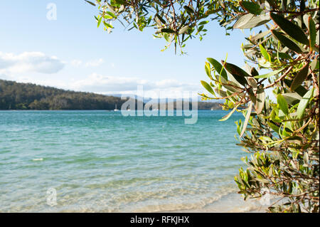 Cockle Creek, Tasmanien, Australien Stockfoto