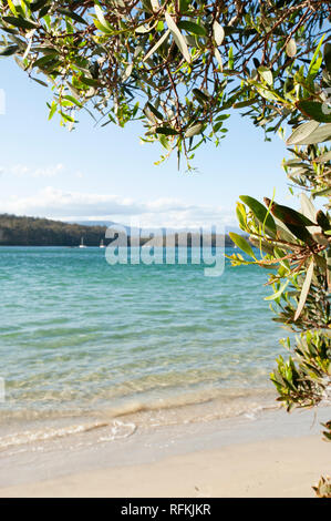 Cockle Creek, Tasmanien, Australien Stockfoto