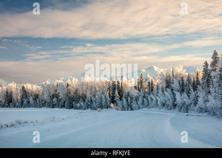 Niedrige Winter Sonne beleuchtet die Chugach Berge und Raureif auf den Bäumen entlang einer kurvigen Straße in Southcentral Alaska. Stockfoto