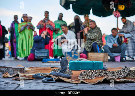 Schlange charmant in Jemaa El Fnaa, Marakech, Marokko. Schlangenbeschwörer spielen exotische Musik für Schlangen. Stockfoto