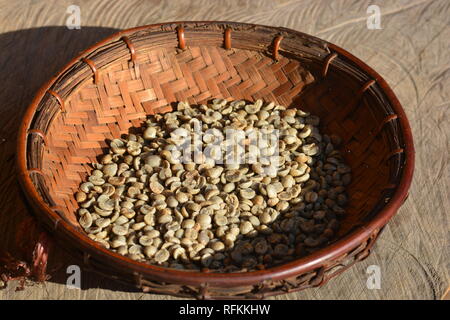 Grüne Kaffeebohnen Extrakt stammt aus ungerösteten Kaffeebohnen, Green coffee bean nach Zerdrücken schälen Fruchthülle und Reinigung Stockfoto