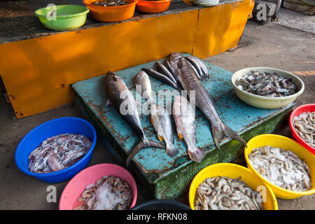 Fischmarkt, Kochi, Kerala, Indien Stockfoto
