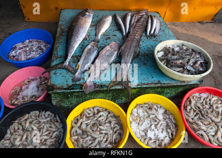 Fischmarkt, Kochi, Kerala, Indien Stockfoto
