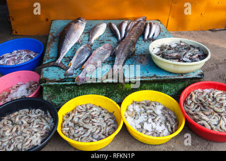 Fischmarkt, Kochi, Kerala, Indien Stockfoto