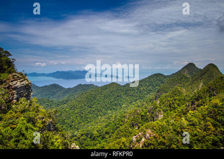 Tropischen grünen Wald in Langkawi aus der Sky Bridge Stockfoto