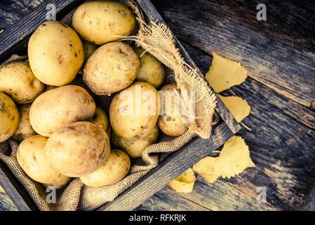 Rohe Biokartoffeln Golden in der Holzkiste auf alten Holzdielen Tisch. Stockfoto