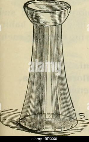 . 1899 Herbst Katalog Lampen, Pflanzen, etc.. Baumschulen (Gartenbau) Massachusetts Boston Kataloge; Glühlampen (Pflanzen) Kataloge; Blumen Samen Kataloge; Bäume Sämlinge Kataloge; Pflanzen, Zierpflanzen Kataloge. Camas. "Glühbirnen und Knötchenförmige verwurzelte Pflanzen. "Ein neues Buch von dem bekannten Allen; enthält vollständige Anweisungen für deren Anbau. Preis, $ 2,00 Postpaid. Gartenbau Schriftsteller, C. w. Hyazinthe Gläser. Hyazinthen in Gläser Wasser gewachsen sind charmante Orna- Salon Windows und die Leichtigkeit und Erfolg in Blume - ing Leuchtmittel auf diese Weise wesentlich zur Popularität der nicht nur hinzufügen Stockfoto