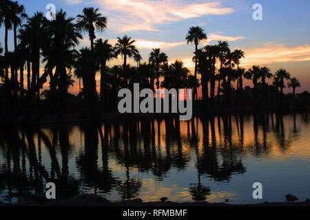 Eine Reflexion der Palmen in Wasser bei Sonnenuntergang in Phoenix, Arizona. Stockfoto