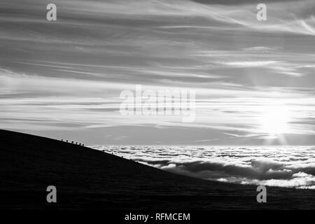 Pferde Silhouetten auf einem Berg über dem Hochnebel Stockfoto