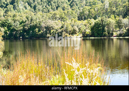 Corinna Fähre, Tasmanien, Australien Stockfoto