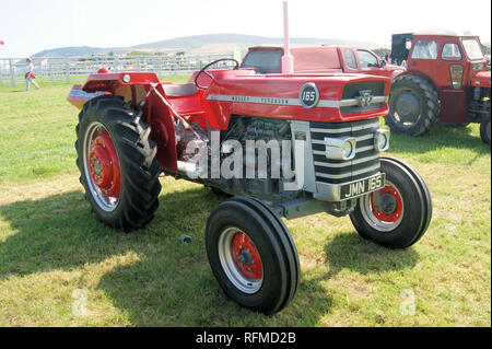 Massey Ferguson 165 Traktor im Royal Manx Landwirtschaft zeigen Stockfoto