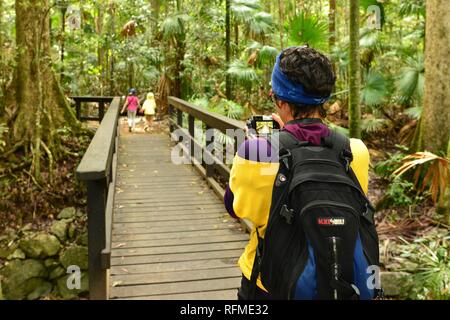 Eine Mutter mit einer Kamera ein Foto Ihrer Kinder zu Fuß durch den Regenwald, Eungella National Park, Queensland, Australien Stockfoto