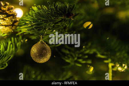 Golden Christmas Tree ball Dekoration aufhängen an Fichte Zweig festliche Lichter werden umgeben. Platz für Text Stockfoto
