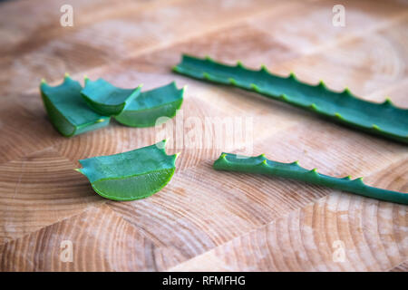 Aloe vera Zweigen und Pflanze Schichten auf hölzernen Hintergrund Stockfoto