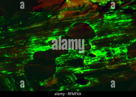 Hintergrund Textur von bioluminescent Holz, die im Dunkeln leuchten Stockfoto
