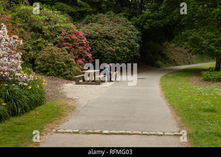 Mann kuscheln Hund auf der Bank im Garten im Sommer im Park Botanischer Garten Le Vallon du Stang Alar Brest, Frankreich, 28. Mai 2018. Stockfoto