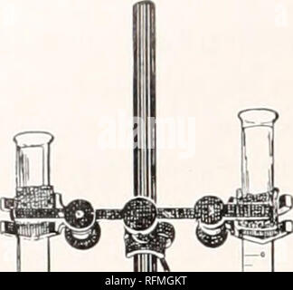 . Der Carnegie Institution in Washington Publikation. 68 BAKTERIEN IN BEZUG AUF PFLANZENKRANKHEITEN. Bitte beachten Sie, dass diese Bilder sind von der gescannten Seite Bilder, die digital für die Lesbarkeit verbessert haben mögen - Färbung und Aussehen dieser Abbildungen können nicht perfekt dem Original ähneln. extrahiert. Der Carnegie Institution in Washington. Washington, der Carnegie Institution in Washington Stockfoto