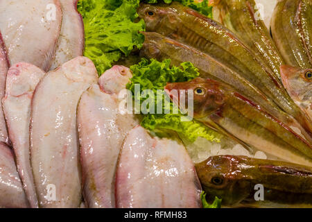 Frischer Fisch ist an der Rialto Markt, Mercato di Rialto verkauft Stockfoto