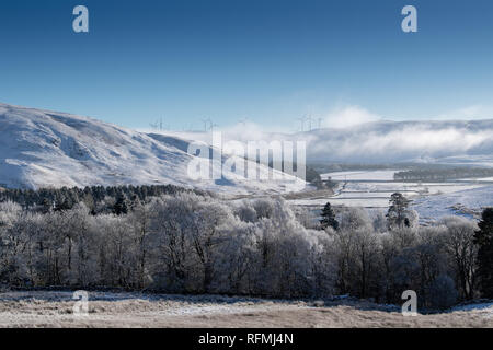 Noch Winter am Morgen in der Nähe von Abingon im oberen Clyde Valley, Schottland, Großbritannien. Stockfoto