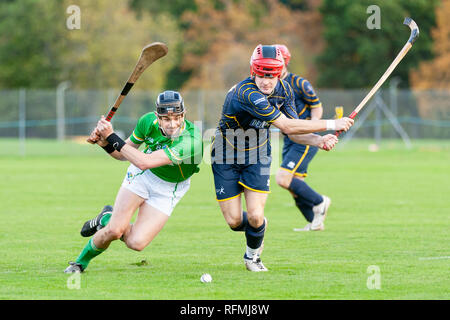 Aktion von shinty Hurling international, Schottland/Irland, gespielt an der Bught, Inverness, Schottland. Eoin Kelly (Ire) mit Daniel Cameron (Scot). Stockfoto