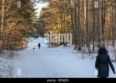 Menschen für einen Spaziergang an einem schönen Wintertag im waldreichen Naturschutzgebiet Stockfoto