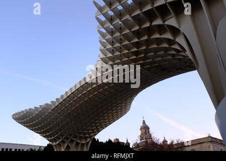 Metropol Parasol Pilze Vordach Las Setas de la Encarnación Sevilla Spanien Stockfoto