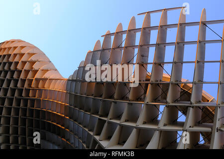 Metropol Parasol Pilze Vordach Las Setas de la Encarnación Sevilla Spanien Stockfoto