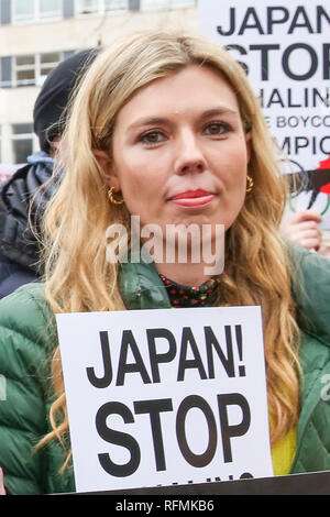 Der ehemalige Außenminister Boris Johnson's Freundin Carrie Symonds gesehen wird, halten Sie eine Plakette während des Protestes gegen den japanischen Walfang in Central London. Stockfoto