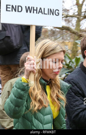 Der ehemalige Außenminister Boris Johnson's Freundin Carrie Symonds gesehen wird, halten Sie eine Plakette während des Protestes gegen den japanischen Walfang in Central London. Stockfoto